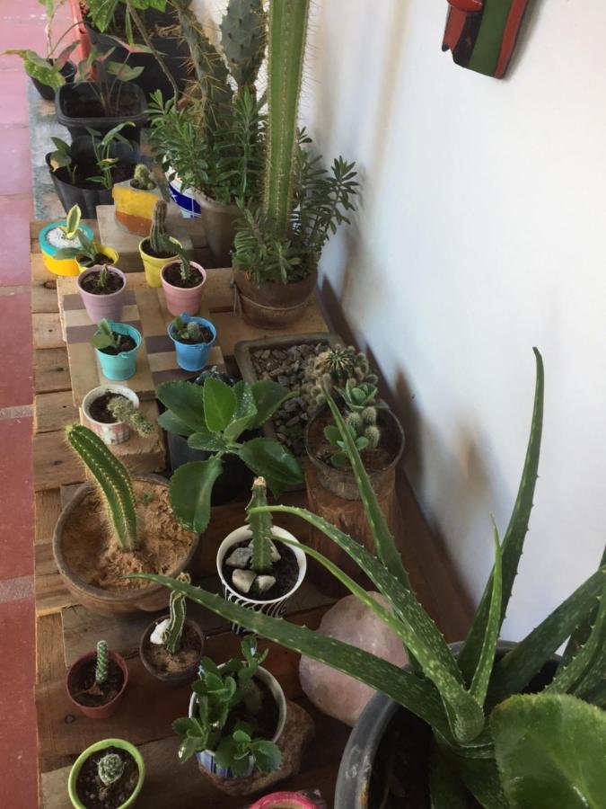 Hostel 35 卡诺格布拉达 外观 照片